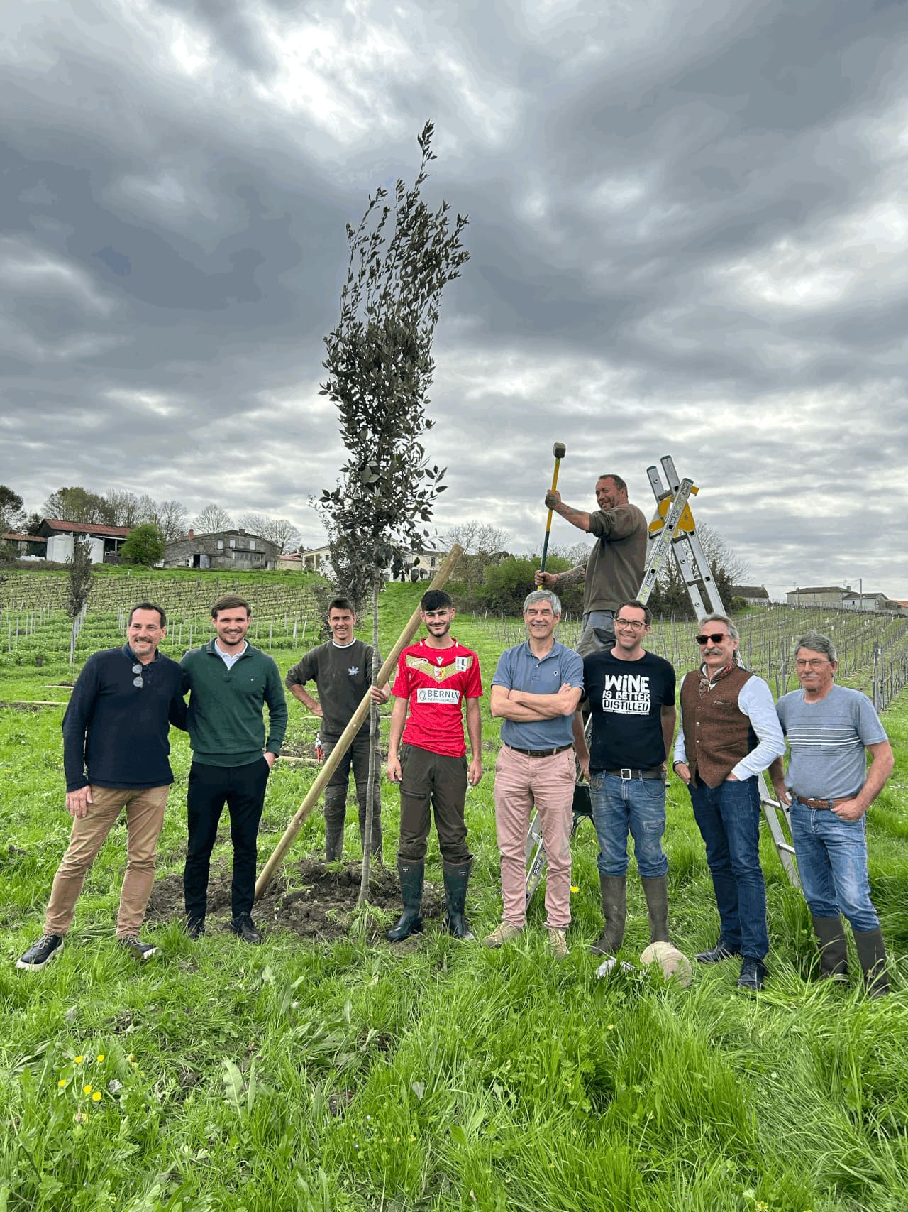 1-essai-1-arbre-1
