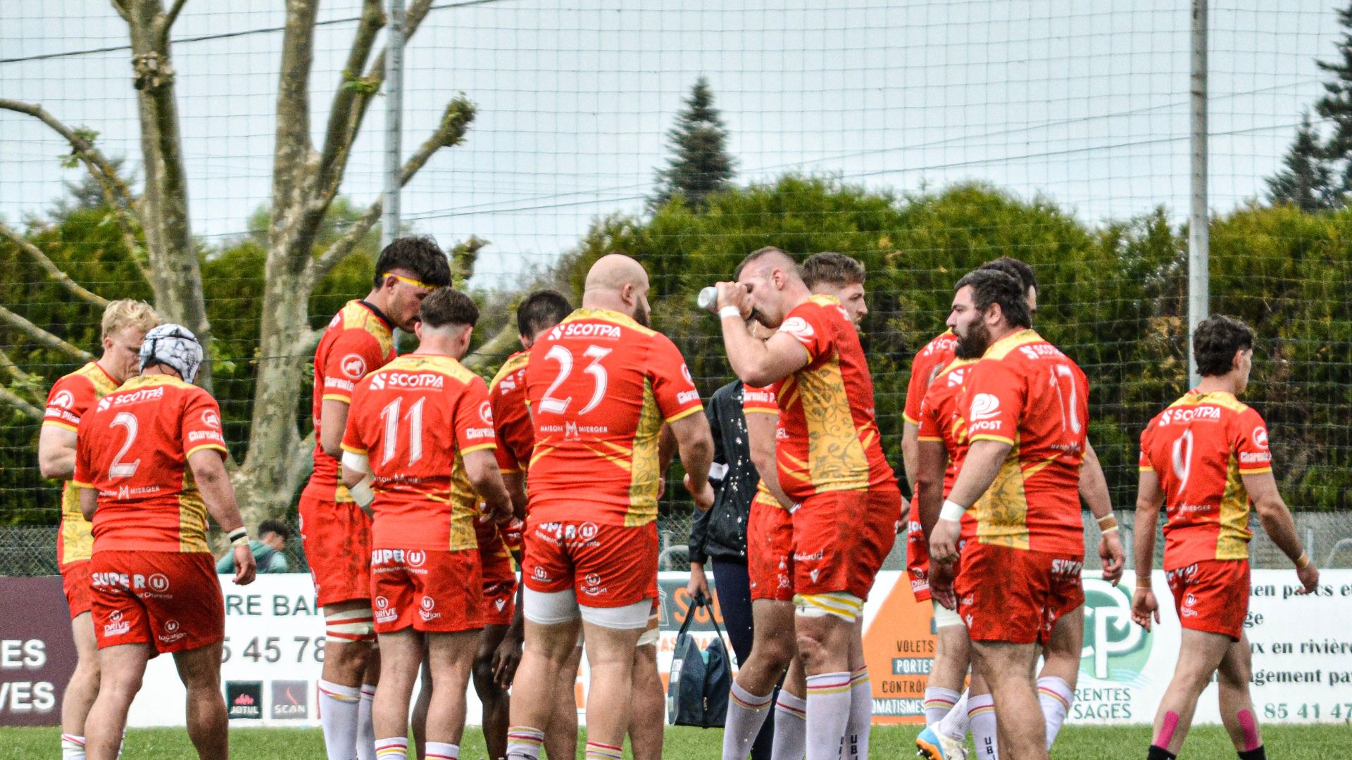 Image mise en avant d'un article